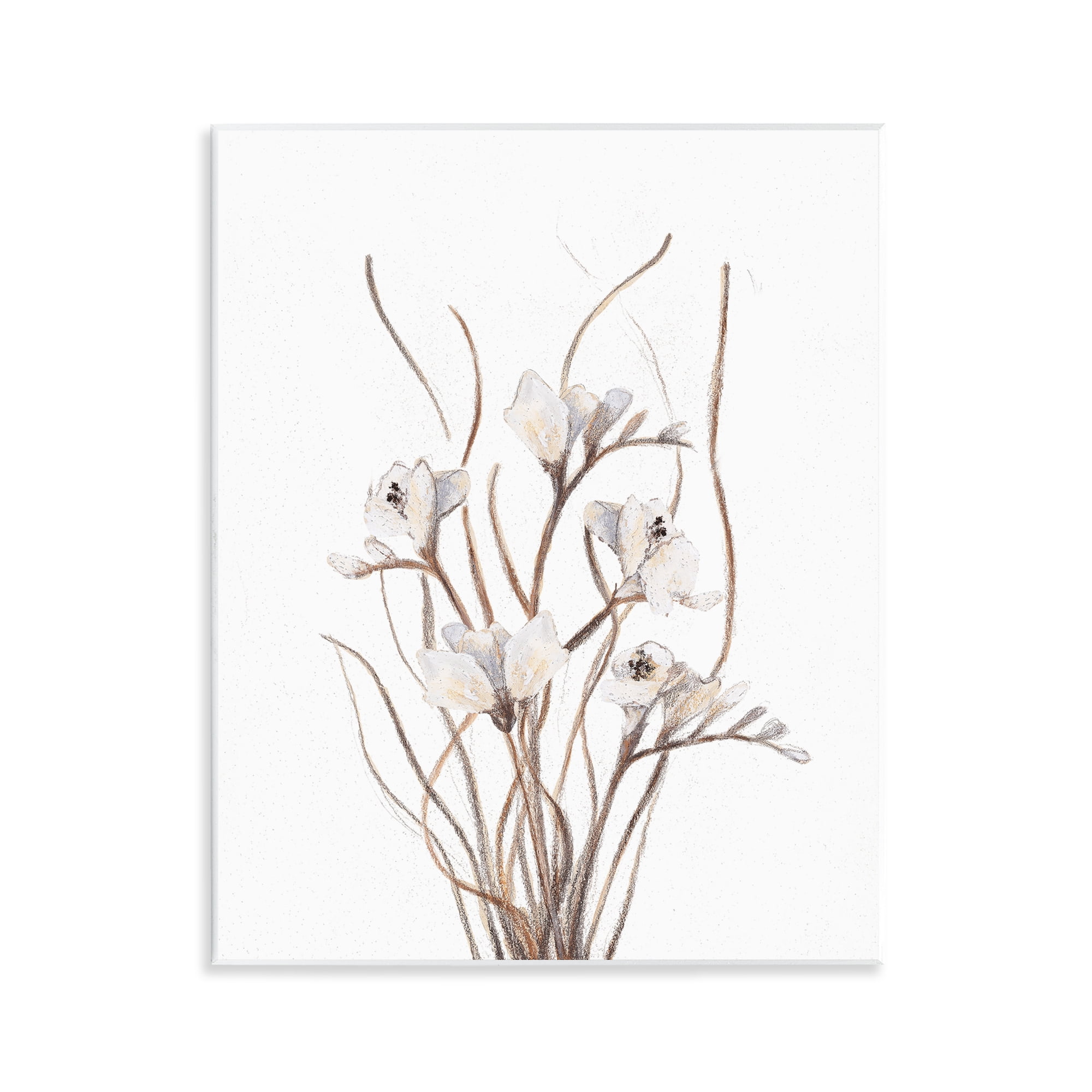 Stupell Industries Curly Branches on White Wall Plaque Art, design by Lanie Loreth