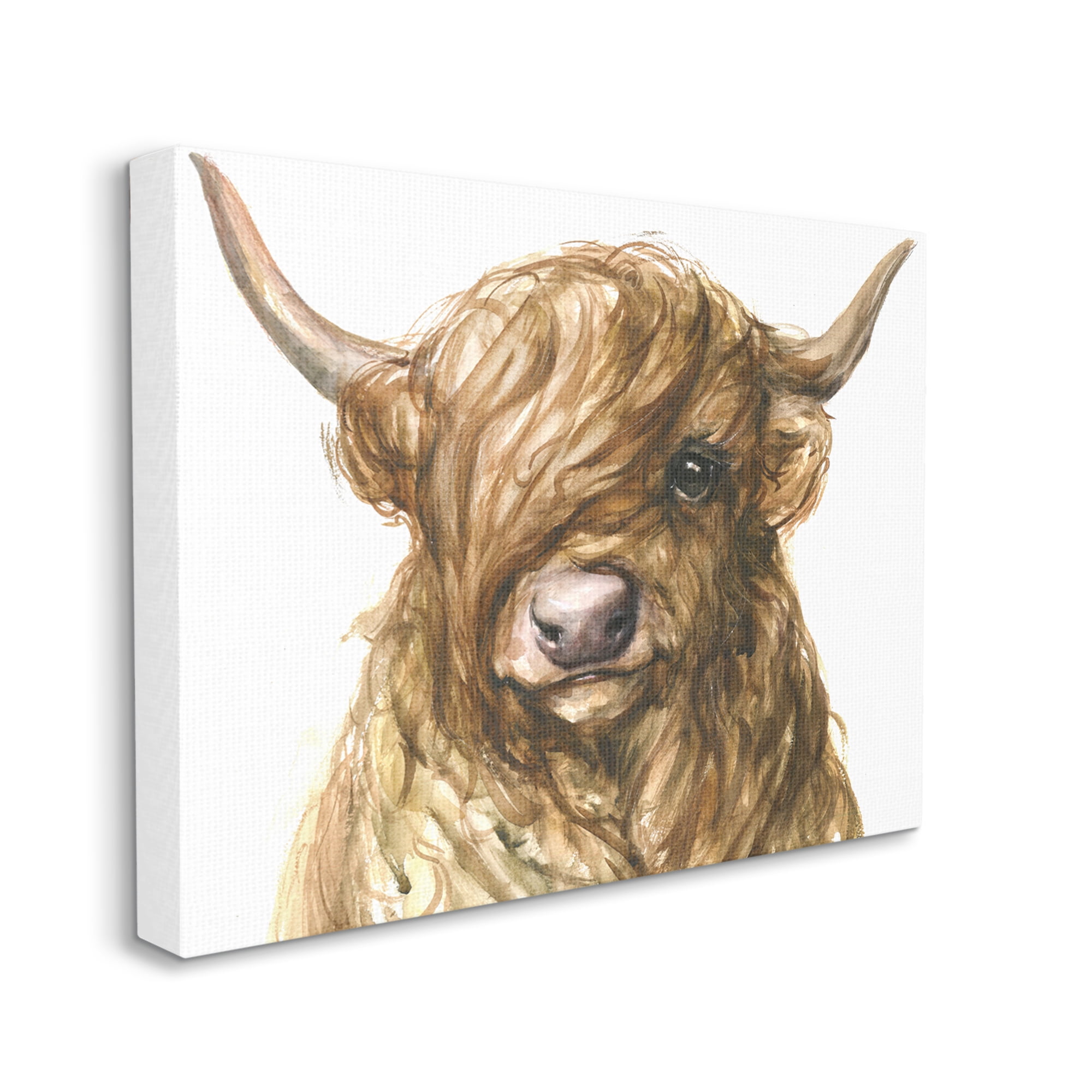 Stupell Industries Curly Hair Highland Cow Baby Cattle Portrait Canvas Wall Art, 30 x 40, Design by George Dyachenko