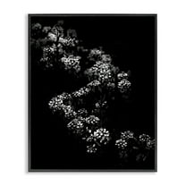 Stupell Industries Curved Blossom Line Plants & Flowers Photography Black Framed Art Print Wall Art, 11 x 14