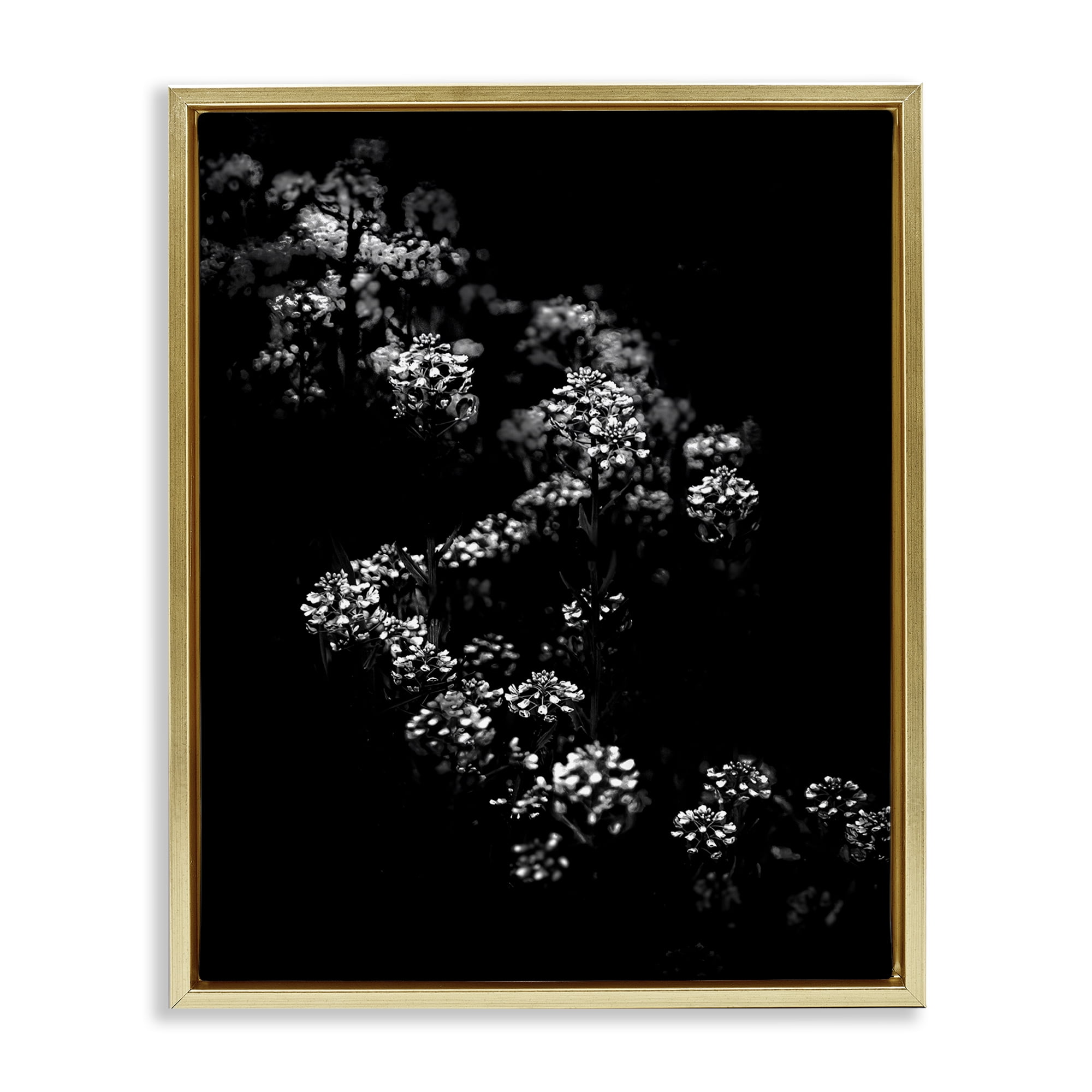 Stupell Industries Curved Blossom Line Plants & Flowers Photography Gold Floater Framed Canvas Art Print Wall Art, 17 x 21