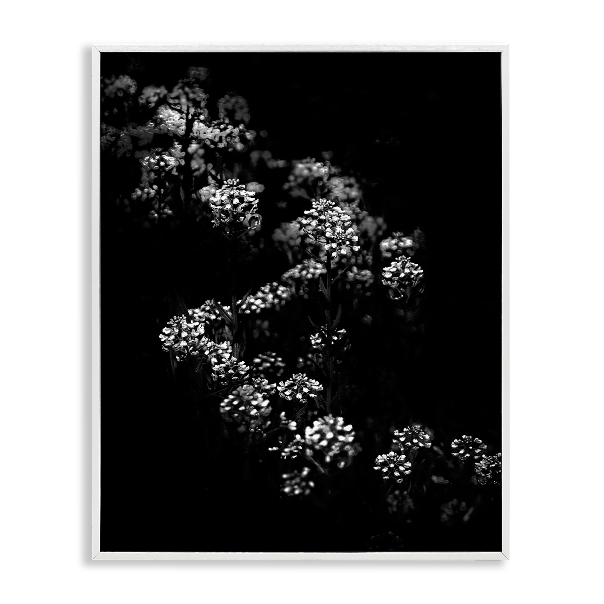 Stupell Industries Curved Blossom Line Plants & Flowers Photography White Framed Art Print Wall Art, 24 x 30