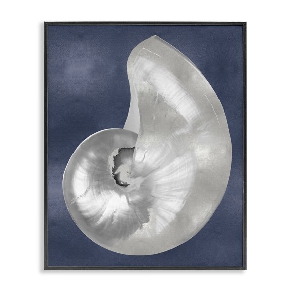 Stupell Industries Curved Nautilus Shell Animals Painting Black Framed Art Print Wall Art, 11 x 14