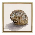 thumbnail image 1 of Stupell Industries Curved Seashell on Beige Nautical & Beach Painting Gold Floater Framed Canvas Art Print Wall Art, 18 x 18, 1 of 10