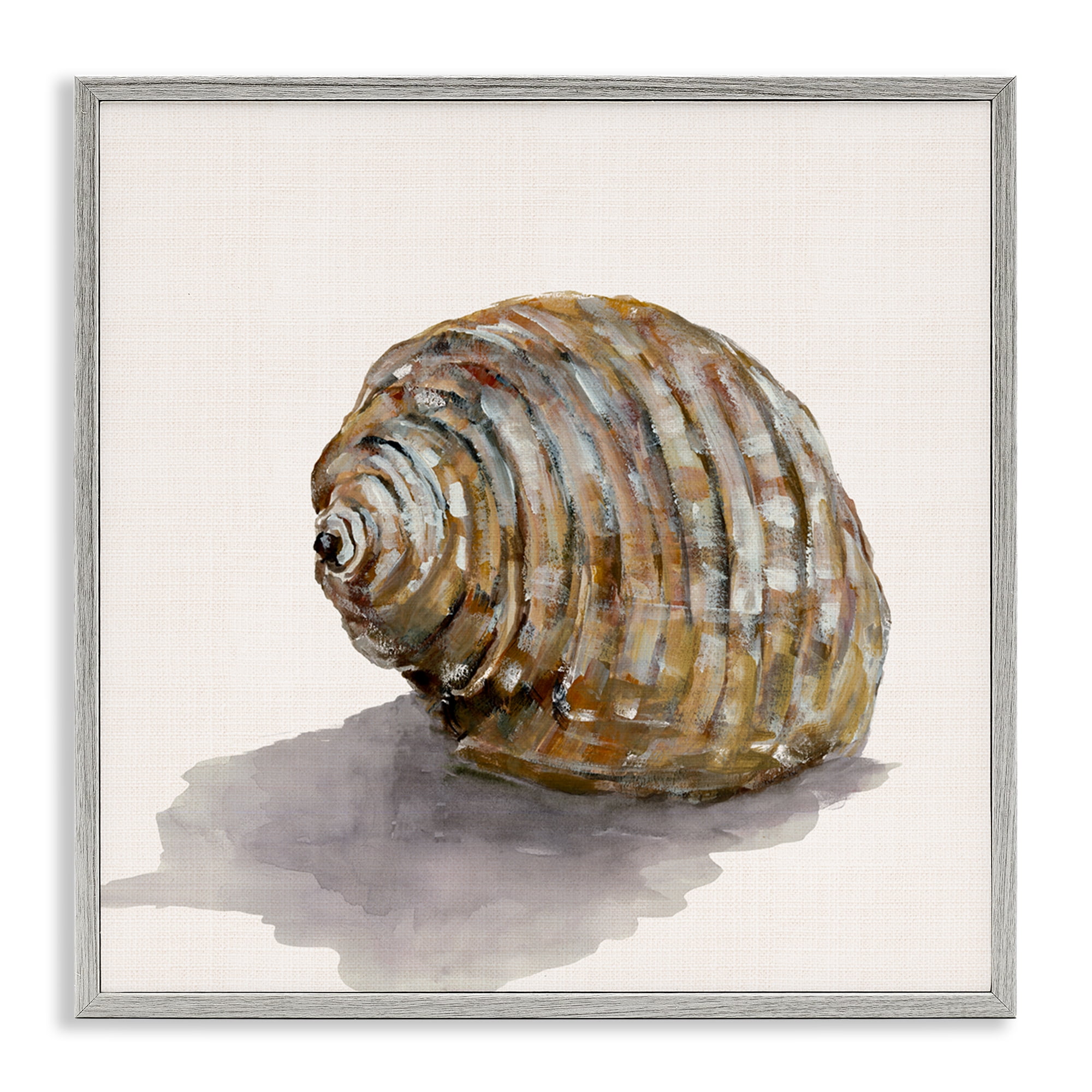 Stupell Industries Curved Seashell on Beige Nautical & Beach Painting Gray Framed Art Print Wall Art, 17 x 17
