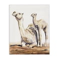 thumbnail image 1 of Stupell Industries Traditional Cute Baby Camel Family Animal Watercolor Canvas Art, 16 x 20, by George Dyachenko, 1 of 7