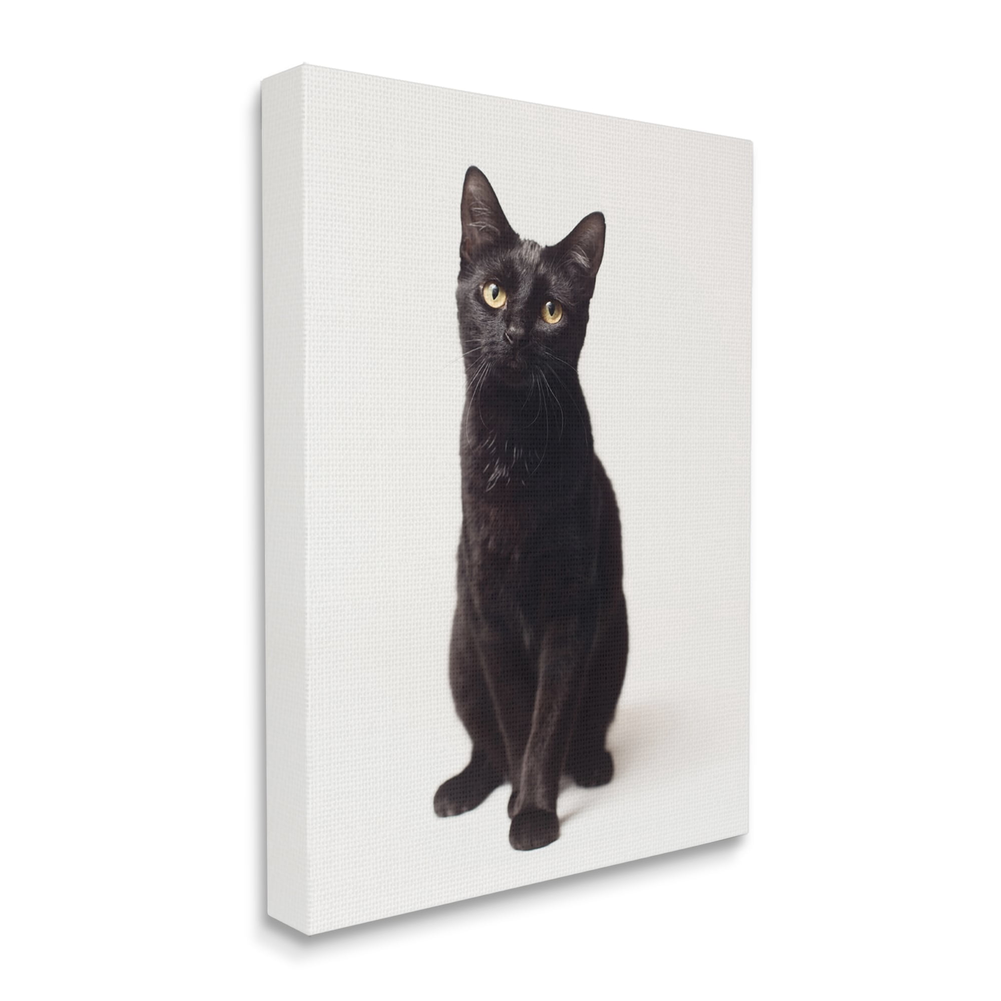 Stupell Industries Cute Black Cat Expressive Eyes Pet Portrait,16 x 20,Designed by Marika Moffit