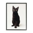 thumbnail image 1 of Stupell Industries Cute Black Cat Expressive Eyes Pet Portrait,24 x 30,Designed by Marika Moffit, 1 of 5