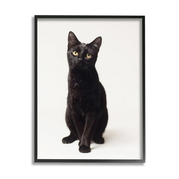Stupell Industries Cute Black Cat Expressive Eyes Pet Portrait,24 x 30,Designed by Marika Moffit