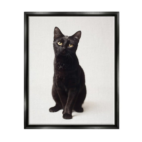 Stupell Industries Cute Black Cat Expressive Eyes Pet Portrait Jet Black Framed Floating Canvas Wall Art, 16x20, by Marika Moffit