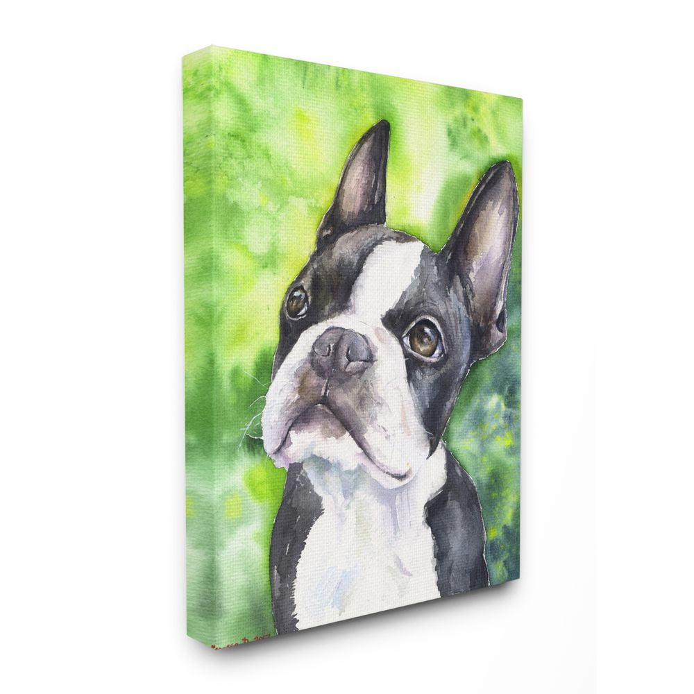 Cute Boston Terrier Dog Watercolor Canvas Wall Art, 24x30