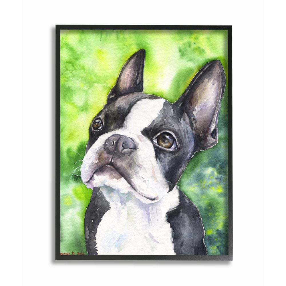 Stupell Industries Cute Boston Terrier Dog Pet Animal Watercolor Painting Framed Giclee Texturized Art by George Dyachenko