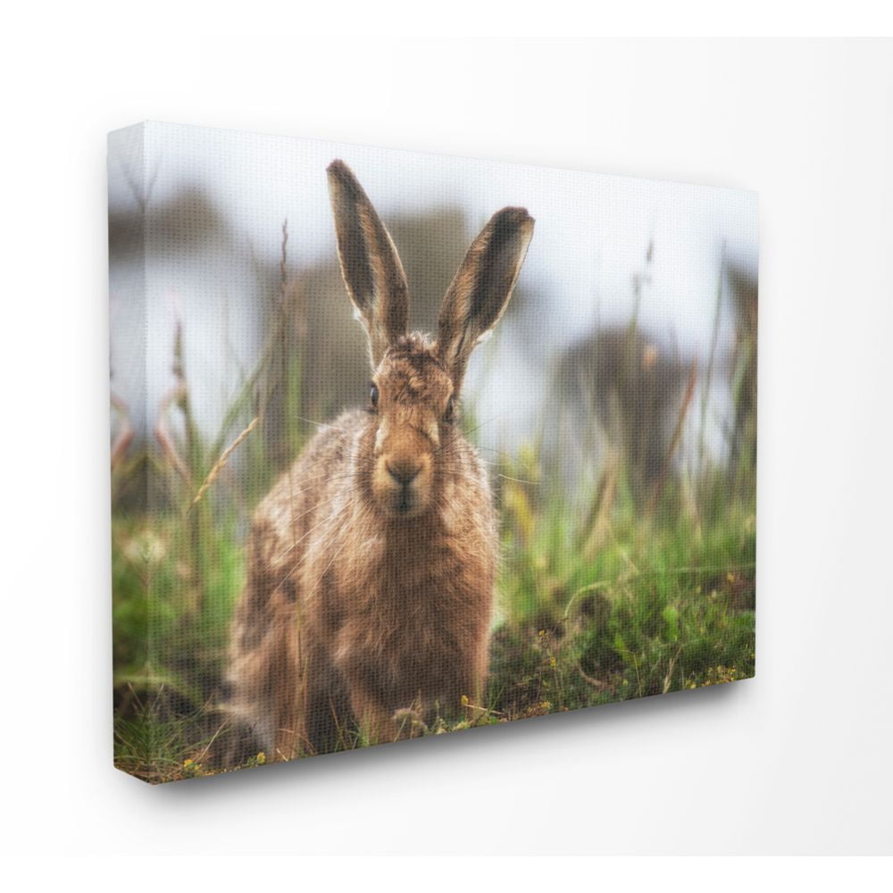 Stupell Industries Cute Bunny Farm Animal Landscape Photo Canvas Wall Art by Villager Jim