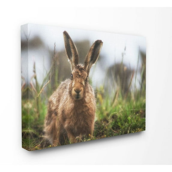 Stupell Industries Cute Bunny Farm Animal Landscape Photo Super Canvas Wall Art by Villager Jim