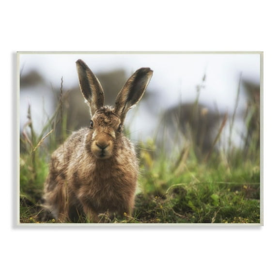 Stupell Industries Cute Bunny Farm Animal Landscape Photo Wall Plaque Art by Villager Jim
