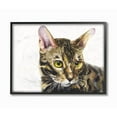 thumbnail image 1 of Stupell Industries Cute Cat Pet Animal Watercolor Painting Framed Giclee Texturized Art by George Dyachenko, 1 of 3