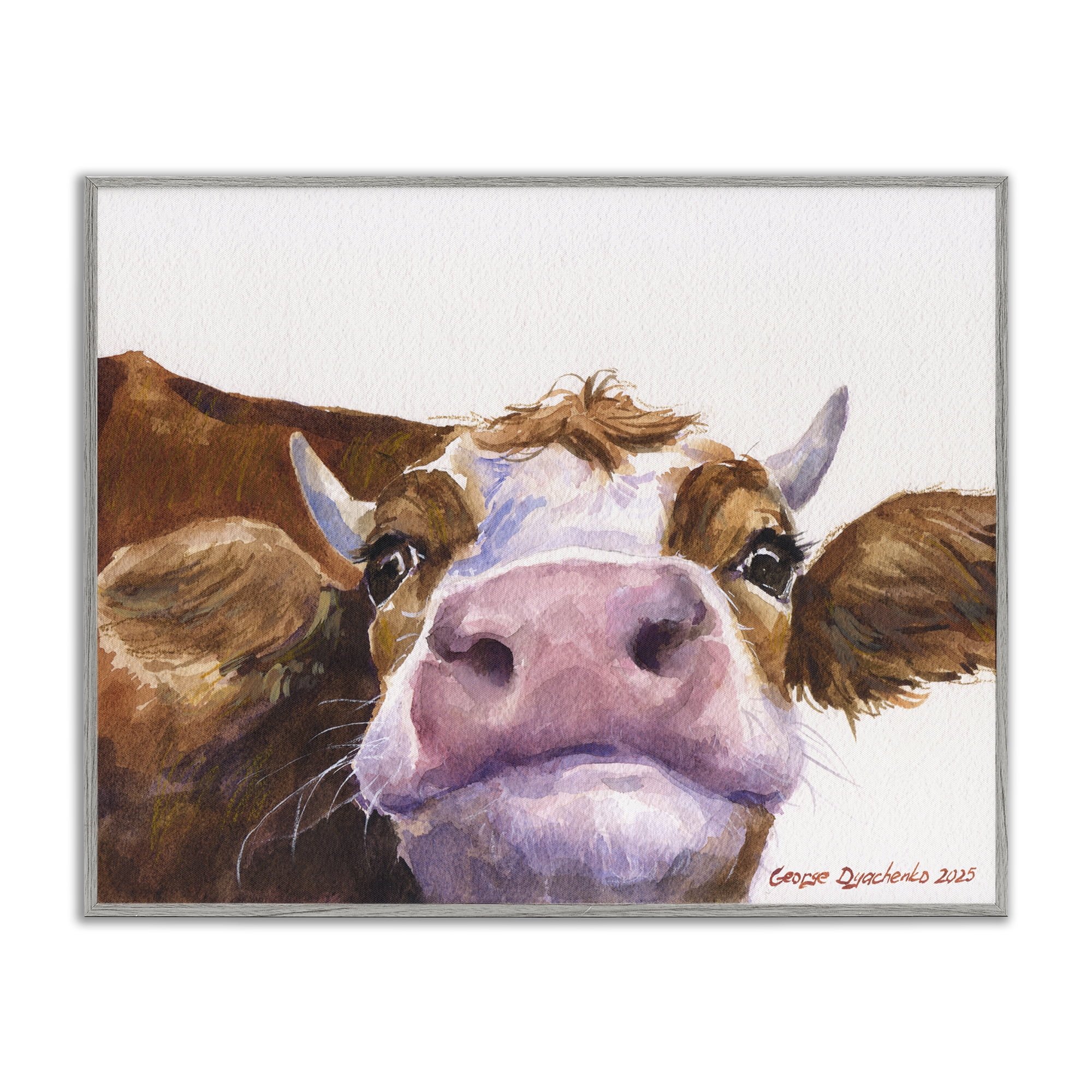 Stupell Industries Cute Cow Close Up Gray Framed Giclee Art, design by George Dyachenko
