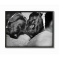 thumbnail image 1 of Stupell Industries Cute Cuddle Dog Pet Animal Black And White Photo Framed Giclee Texturized Art by Villager Jim, 1 of 8