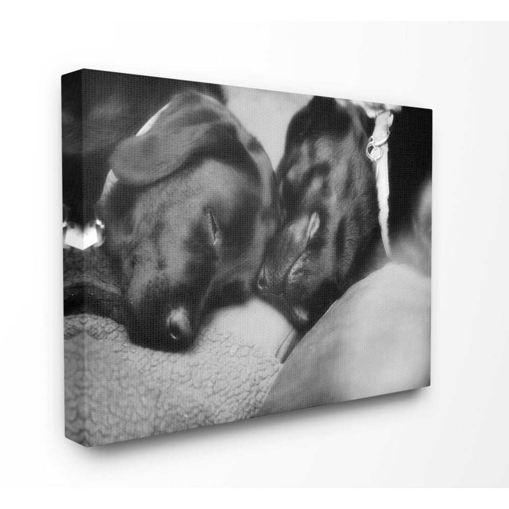 Stupell Industries Cute Cuddle Dog Pet Animal Black And White Photo Super Canvas Wall Art by Villager Jim