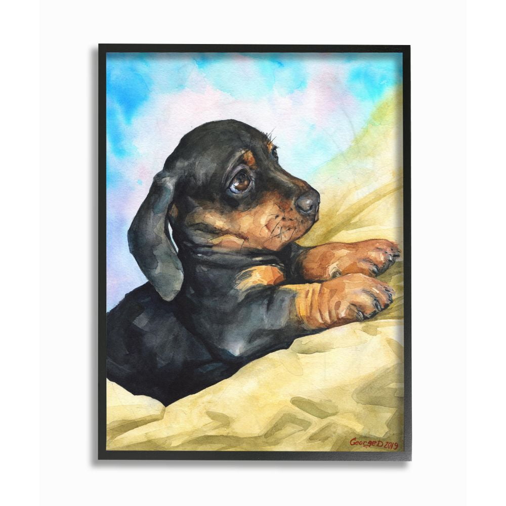 Stupell Industries Cute Dachshund Puppy Dog Pet Animal Watercolor Painting Framed Giclee Texturized Art by George Dyachenko