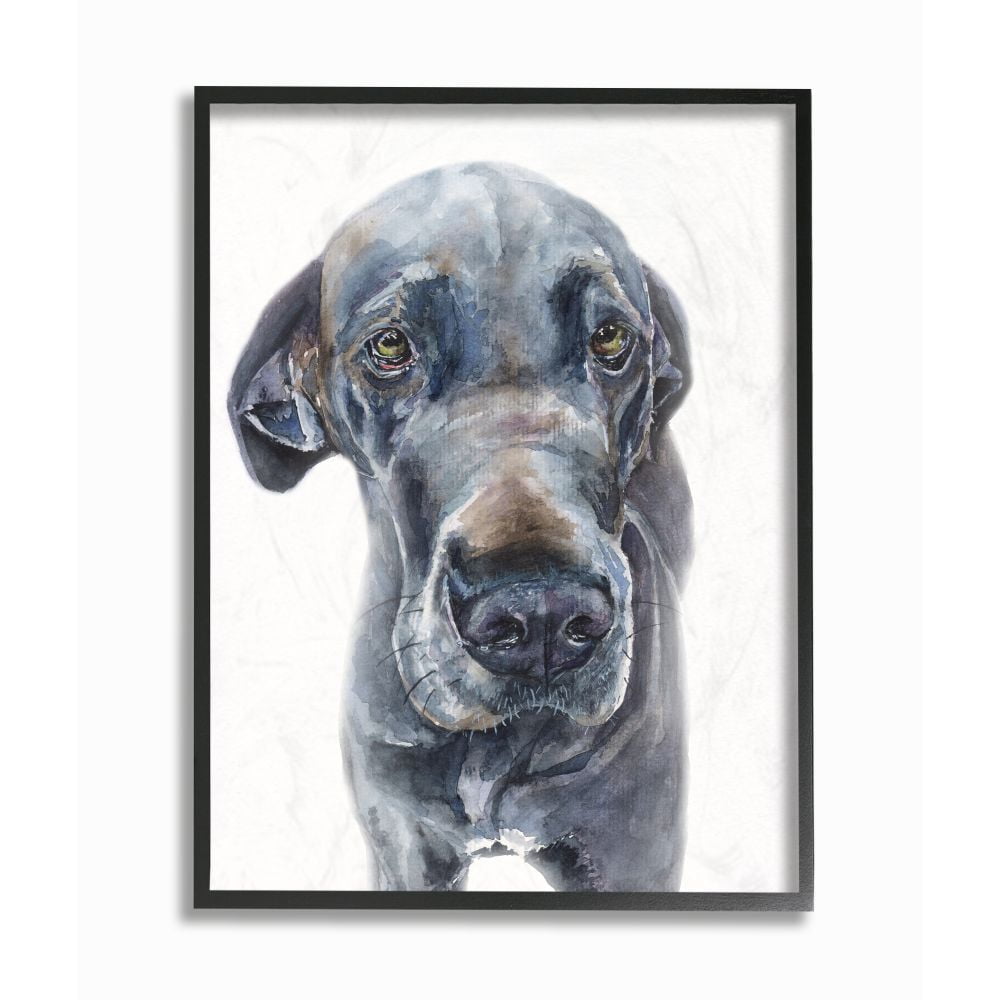 Stupell Industries Cute Great Dane Dog Pet Animal Watercolor Painting Framed Giclee Texturized Art by George Dyachenko