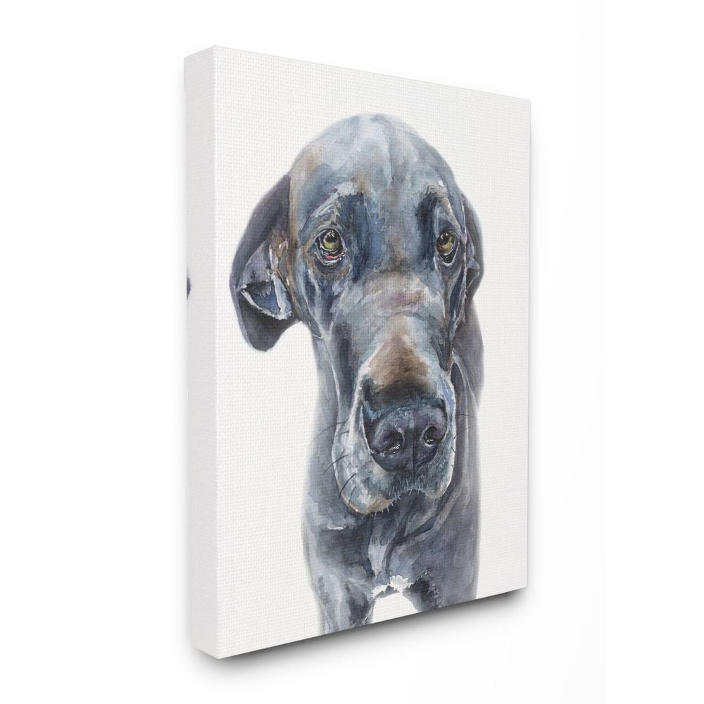 Stupell Industries Cute Great Dane Dog Pet Animal Watercolor Painting Super Canvas Wall Art by George Dyachenko