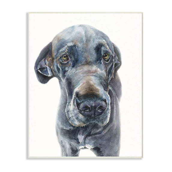 Stupell Industries Cute Great Dane Dog Pet Animal Watercolor Painting Wall Plaque Art by George Dyachenko