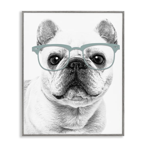 Stupell Industries Contemporary Cute Monochrome French Bulldog Wearing Glasses Illustration Gray Framed Giclee Art, 24 x 30, by Annalisa Latella