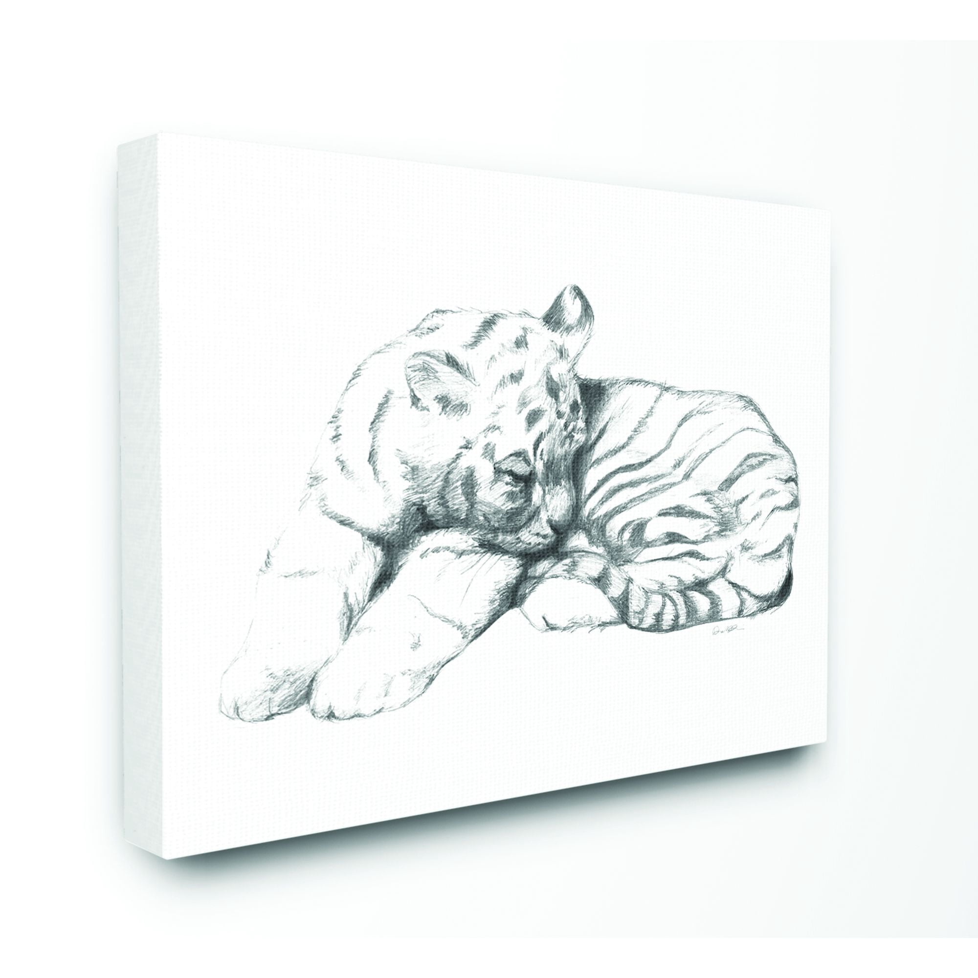 Stupell Industries Cute Tiger Cat Baby Animal Neutral Gray Drawing Design Canvas Wall Art by Daphne Polselli