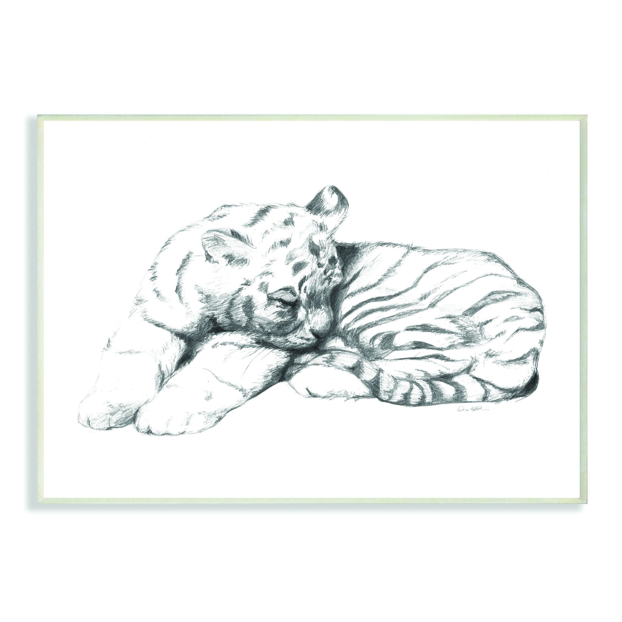 Stupell Industries Cute Tiger Cat Baby Animal Neutral Gray Drawing Design Wall Plaque by Daphne Polselli