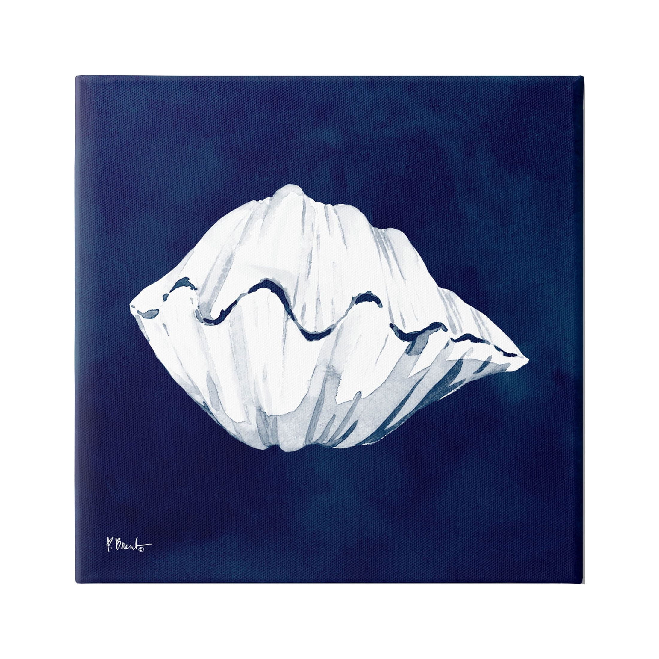 Stupell Industries Cyanotype Shells Coastal Clam Graphic Art Gallery Wrapped Canvas Print Wall Art, Design by Paul Brent