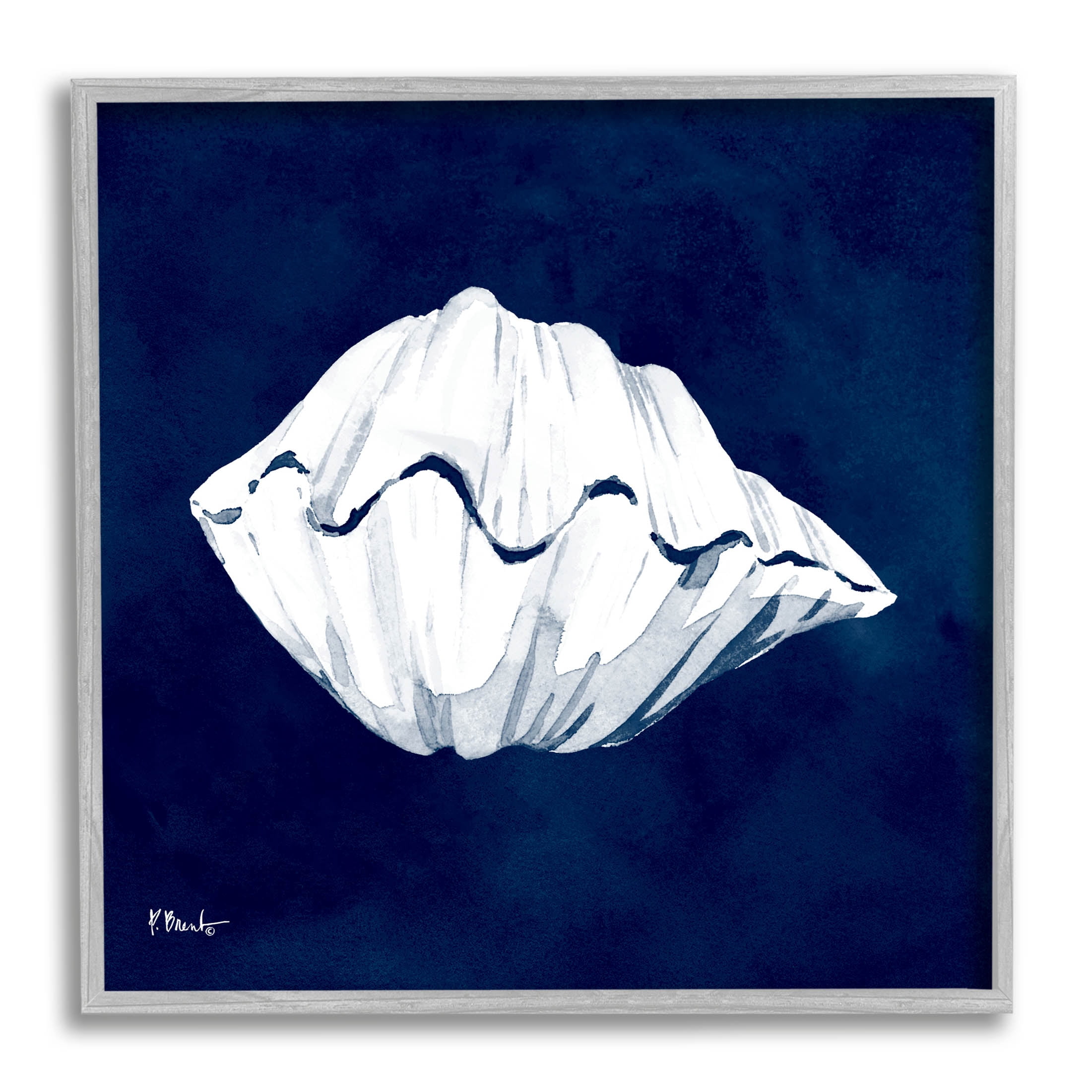 Stupell Industries Cyanotype Shells Coastal Clam Graphic Art Gray Framed Art Print Wall Art, Design by Paul Brent
