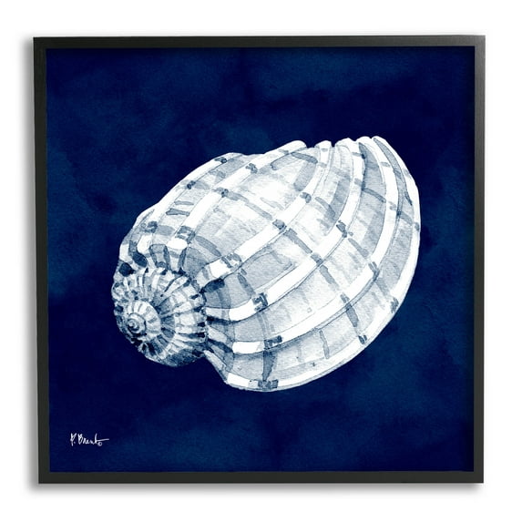 Stupell Industries Cyanotype Shells Coastal Illustration Graphic Art Black Framed Art Print Wall Art, Design by Paul Brent