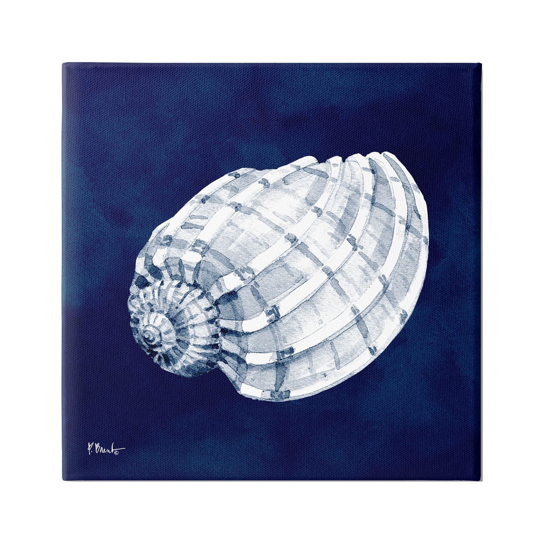 Stupell Industries Cyanotype Shells Coastal Illustration Graphic Art Gallery Wrapped Canvas Print Wall Art, Design by Paul Brent