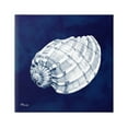 thumbnail image 1 of Stupell Industries Cyanotype Shells Coastal Illustration Graphic Art Gallery Wrapped Canvas Print Wall Art, Design by Paul Brent, 1 of 7
