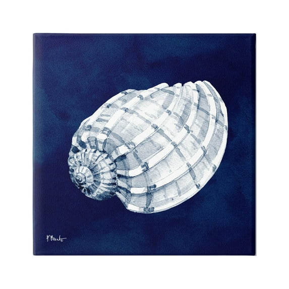 Stupell Industries Cyanotype Shells Coastal Illustration Graphic Art Gallery Wrapped Canvas Print Wall Art, Design by Paul Brent