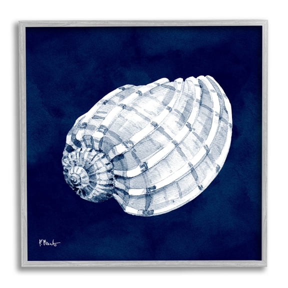 Stupell Industries Cyanotype Shells Coastal Illustration Graphic Art Gray Framed Art Print Wall Art, Design by Paul Brent