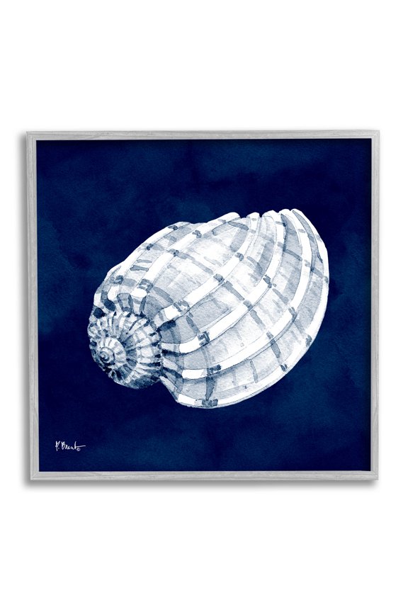 Industries Cyanotype Shells Coastal Illustration Graphic Art Gray Framed Art Print Wall Art, Design by Paul Brent