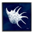 thumbnail image 1 of Stupell Industries Cyanotype Shells Traditional Conch Graphic Art Black Framed Art Print Wall Art, Design by Paul Brent, 1 of 8