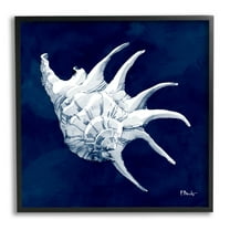 Stupell Industries Cyanotype Shells Traditional Conch Graphic Art Black Framed Art Print Wall Art, Design by Paul Brent