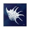 thumbnail image 1 of Stupell Industries Cyanotype Shells Traditional Conch Graphic Art Gallery Wrapped Canvas Print Wall Art, Design by Paul Brent, 1 of 7
