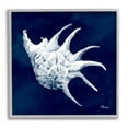 thumbnail image 1 of Stupell Industries Cyanotype Shells Traditional Conch Graphic Art Gray Framed Art Print Wall Art, Design by Paul Brent, 1 of 8