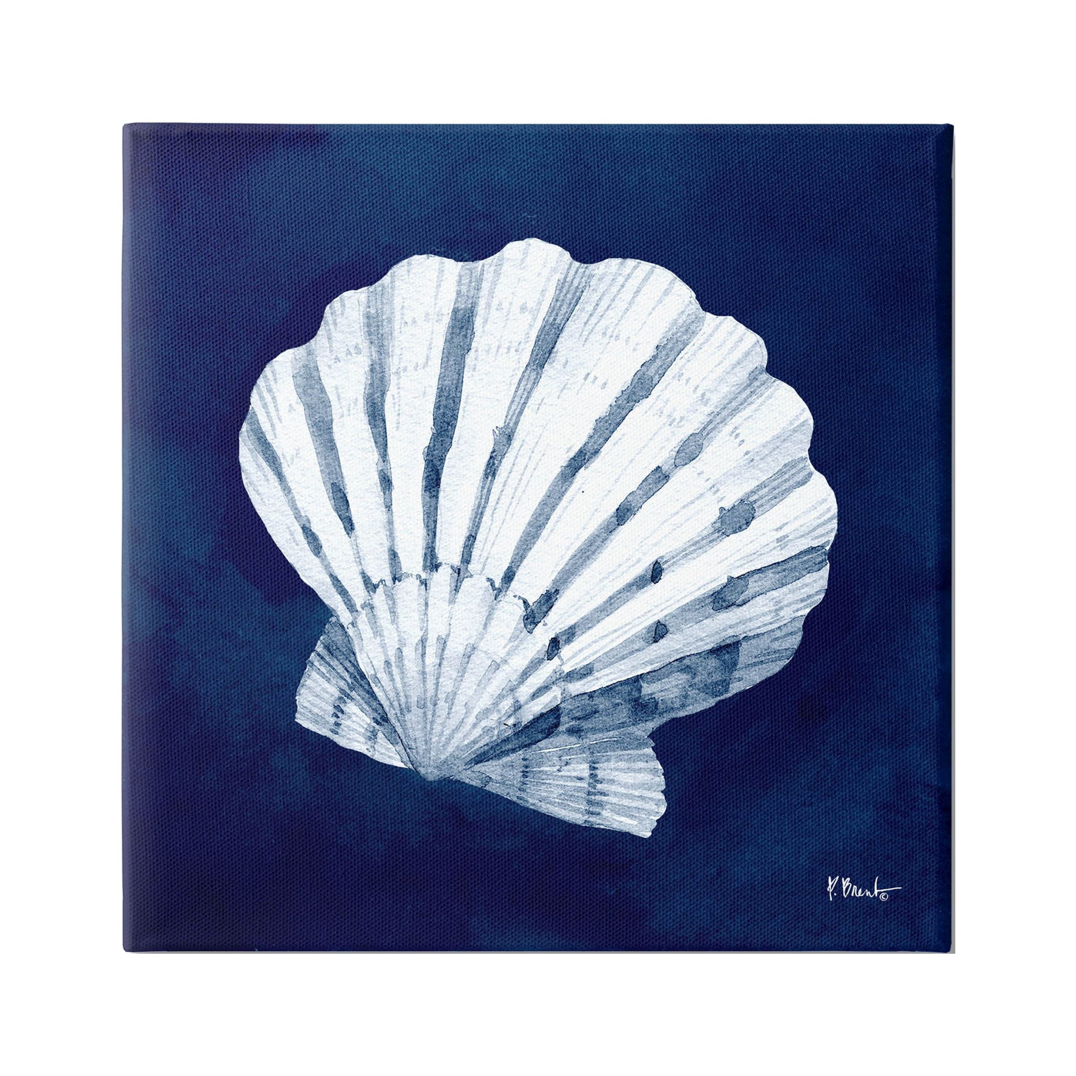 Stupell Industries Cyanotype Shells Traditional Scallop Graphic Art Gallery Wrapped Canvas Print Wall Art, Design by Paul Brent