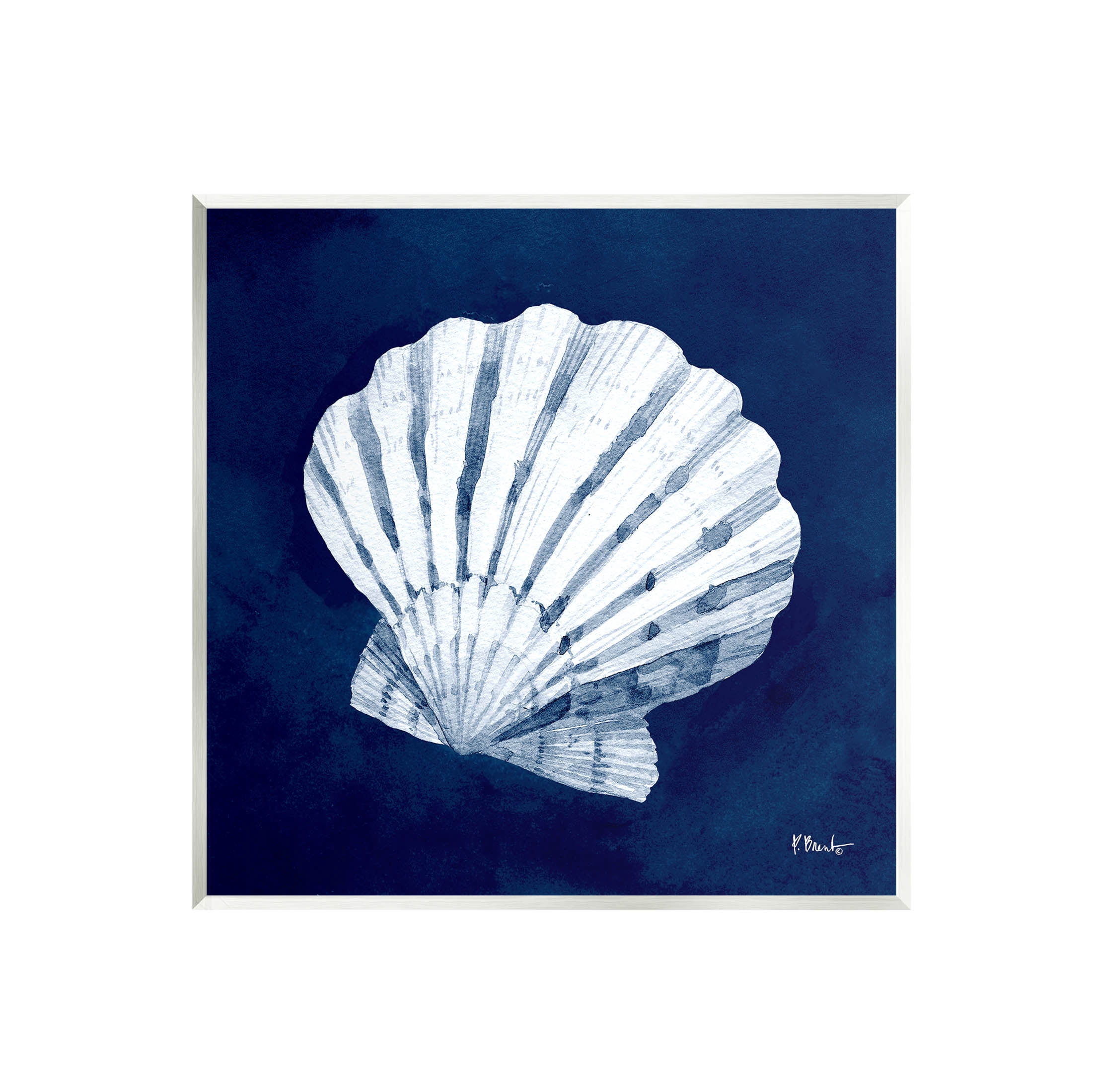 Stupell Industries Cyanotype Shells Traditional Scallop Graphic Art Unframed Art Print Wall Art, Design by Paul Brent