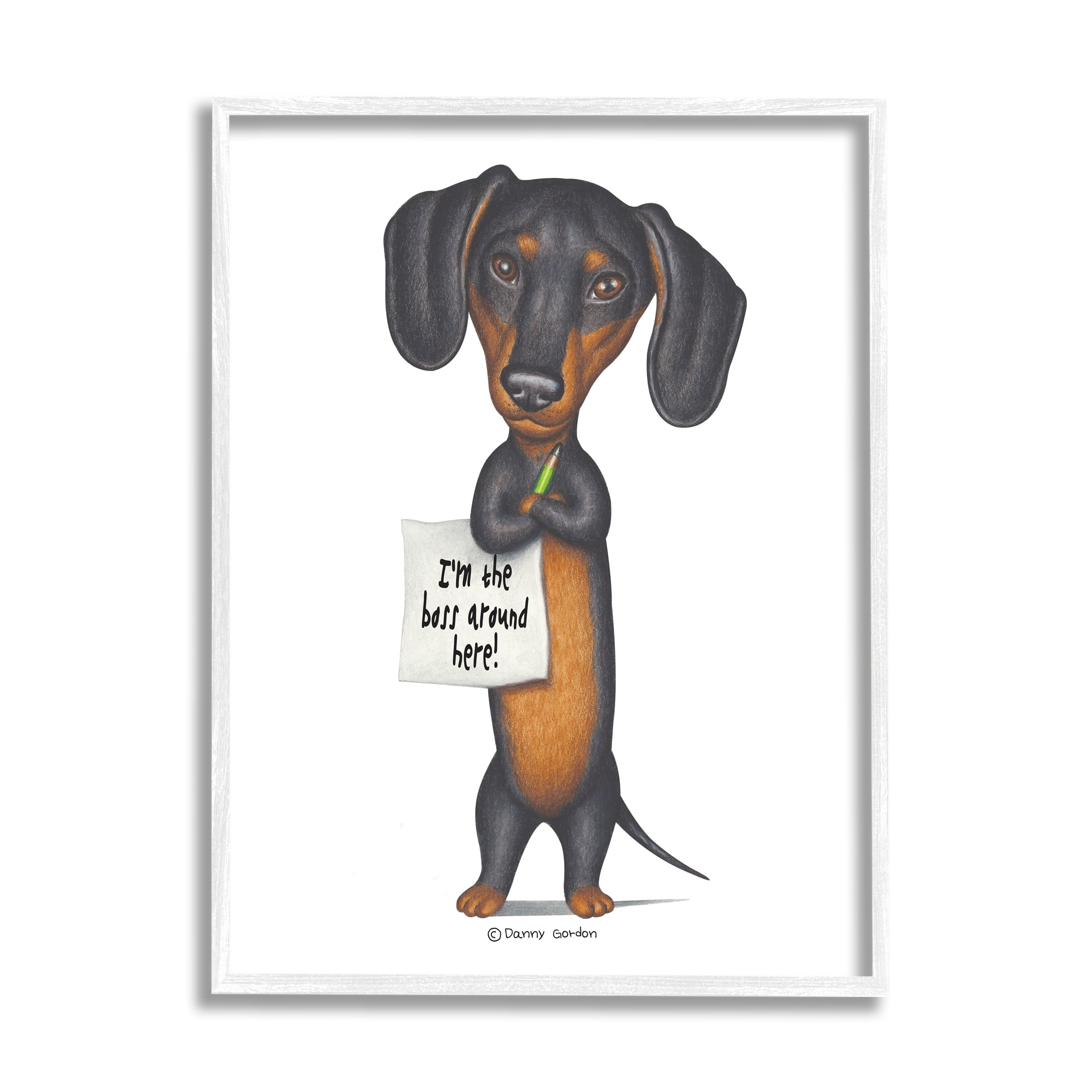 Stupell Industries Dachshund 'I'm The Boss' Fun Family Pet Phrase, 11 x 14,Design by Danny Gordan