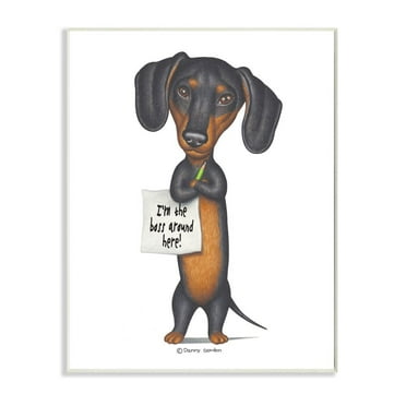 Stupell Industries Dachshund 'I'm The Boss' Fun Family Pet Phrase Designed by Danny Gordan