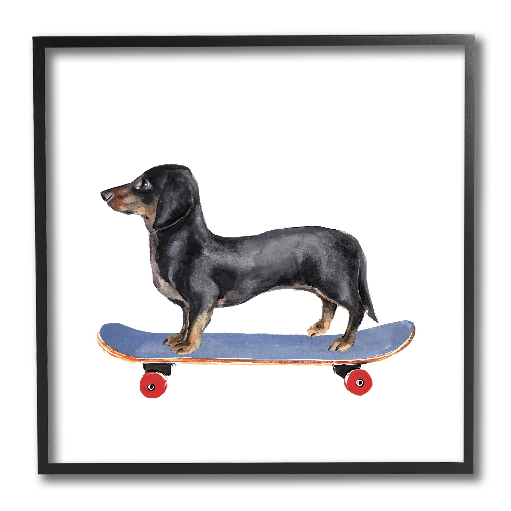Stupell Industries Dachshund Pet Dog on Blue Skateboard,12 x 12,Designed by Annie Warren
