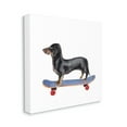 thumbnail image 1 of Stupell Industries Dachshund Pet Dog on Blue Skateboard,24 x 24,Designed by Annie Warren, 1 of 6