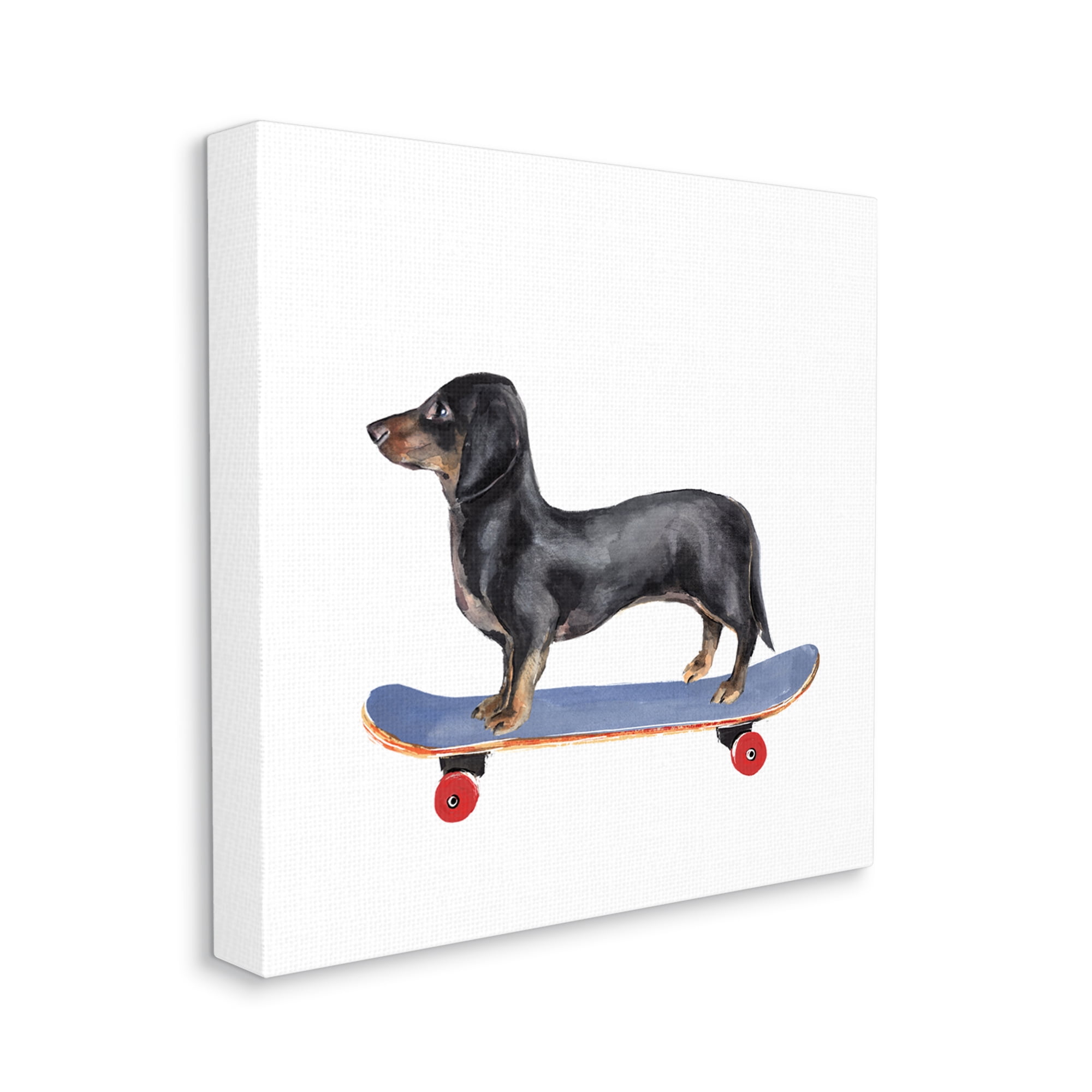 Stupell Industries Dachshund Pet Dog on Blue Skateboard,30 x 30,Designed by Annie Warren