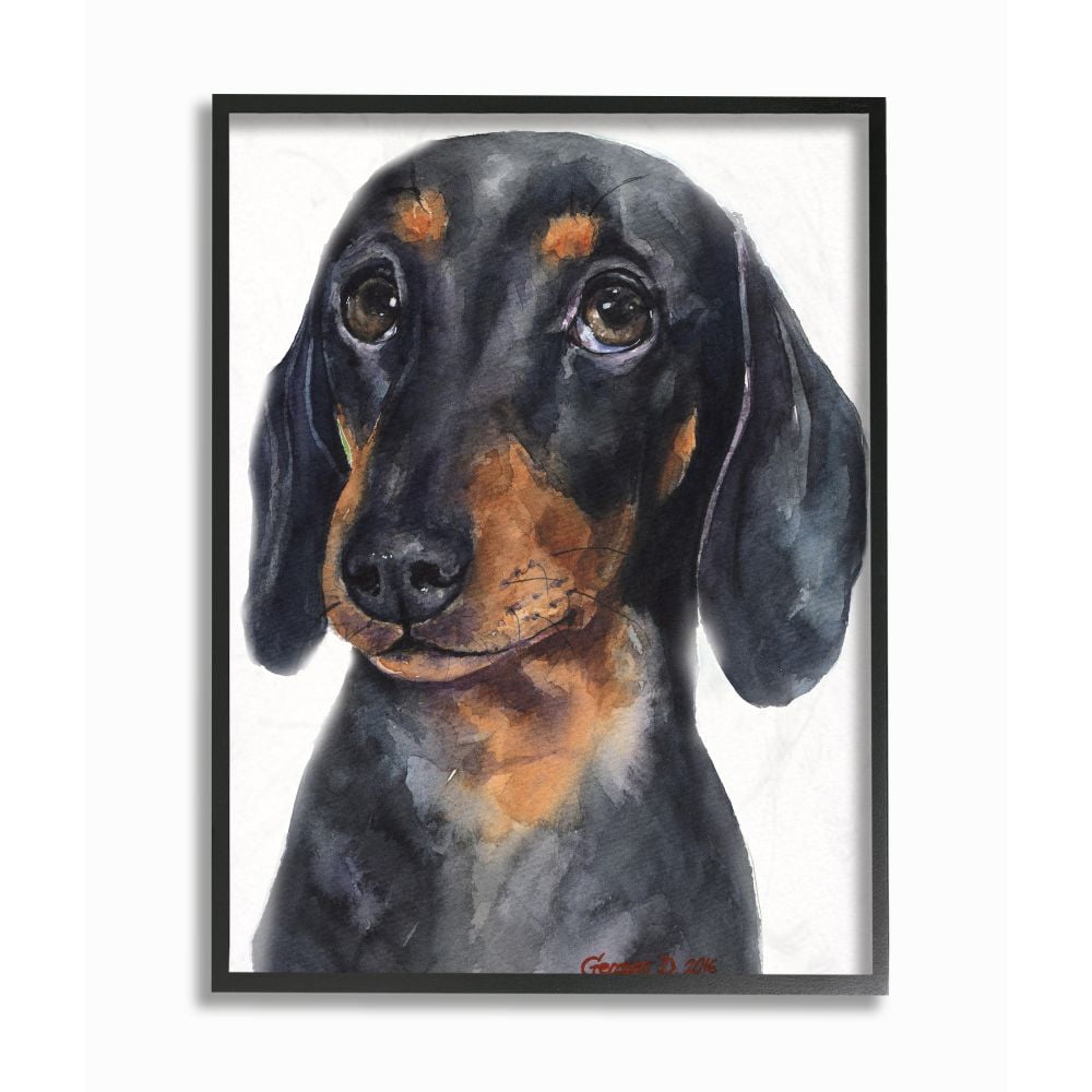 Black Framed Dachshund Puppy Watercolor Painting, 11x14