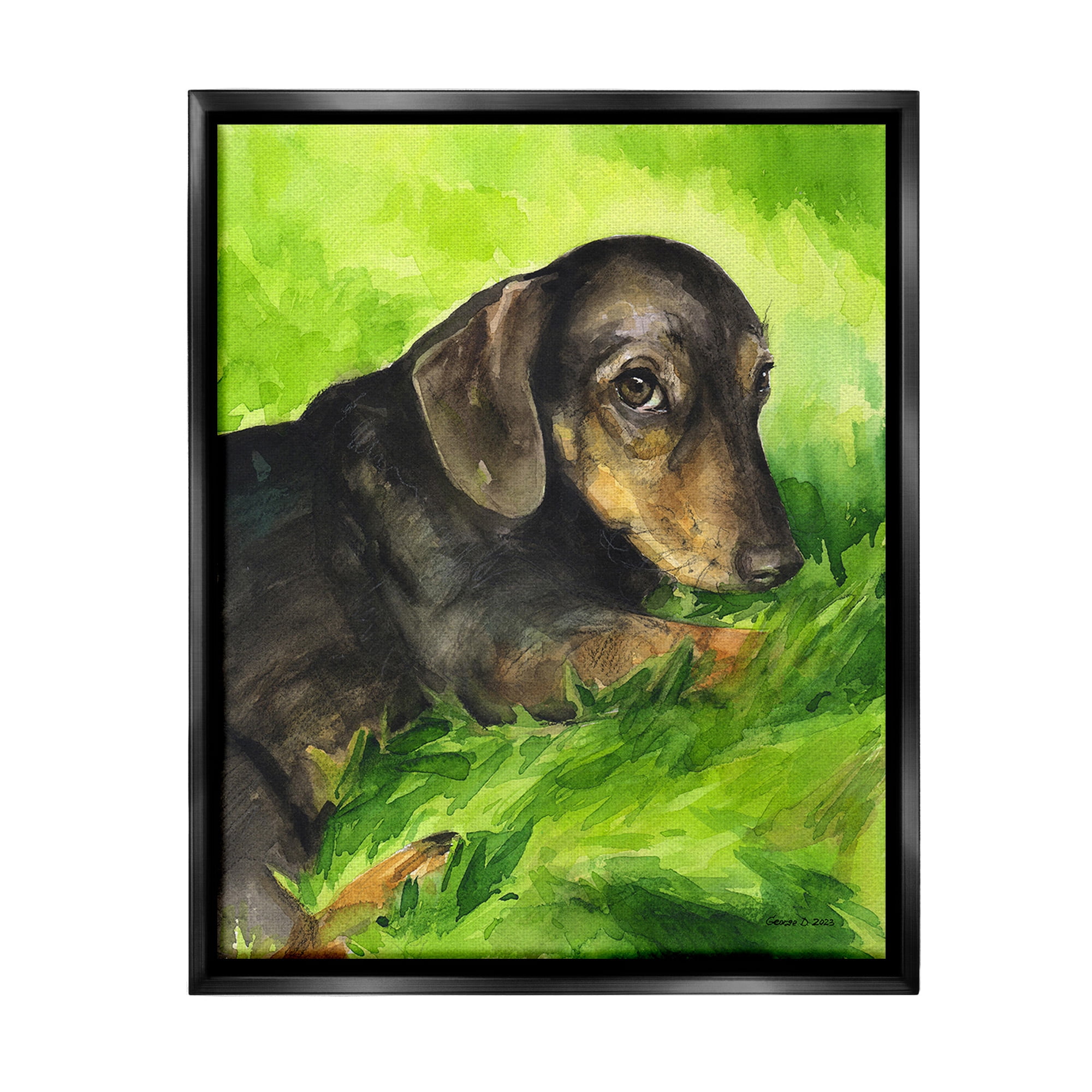 Stupell Industries Dachshund Relaxing in Grass Animals & Insects Painting Black Floater Framed Canvas Art Print Wall Art, 25 x 31